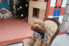 WhatsApp-Image-2025-06-17-at-23.05.16