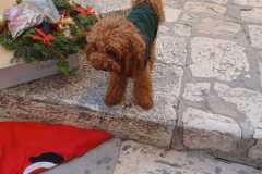 WhatsApp-Image-2025-06-17-at-23.05.20